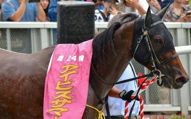 【アイビスSD】牝馬が強い一戦 内枠勢の戦法にも要注意