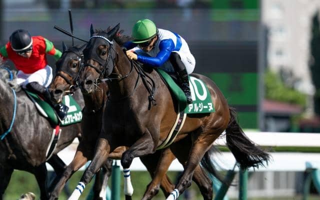 【クイーンS結果】アルジーヌが人気に応えて重賞2勝目