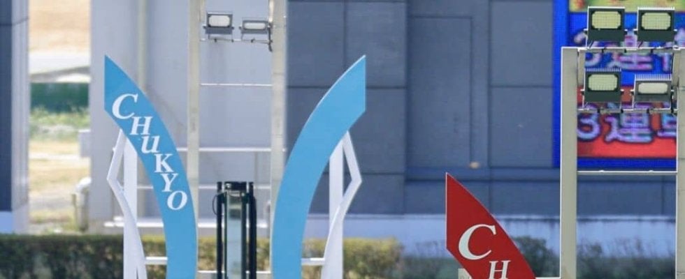 【名鉄杯】9番人気マリオロードが抜け出す！バデル騎手の鮮やかな手綱さばき炸裂