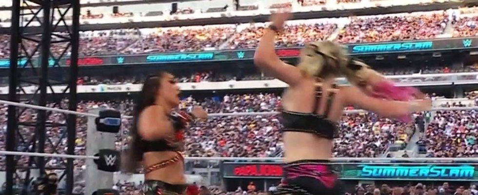 女子レスラー、戦慄の“グーパン”一撃 「決まった」「えっぐ」見事な悶絶カウンターにファン困惑