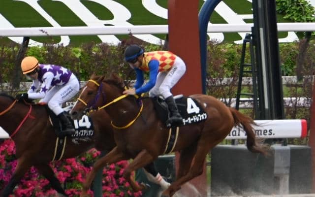 【エルムS展望】好走傾向がはっきりしたレースで妙味も十分