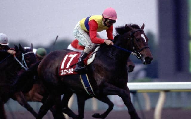 キングマンボ×サドラーズウェルズの最初の成功例 JRA顕彰馬にも選出された名馬「エルコンドルパサー」