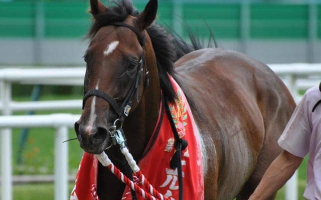 エルムS男・岩田康誠 過去の5勝を振り返る