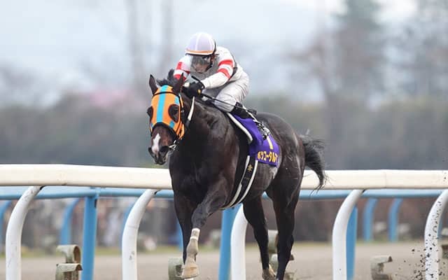 GI級・10勝ホッコータルマエの活躍はここから 初重賞制覇を果たしたレパードＳ