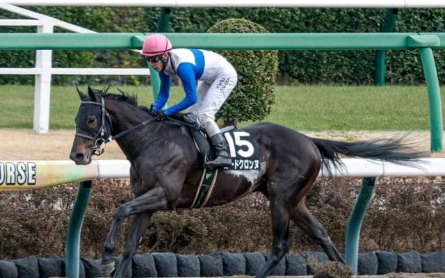 【エルムS予想オッズ】ロードクロンヌが予想1番人気