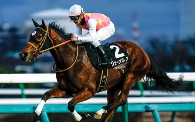 【CBC賞予想オッズ】ジューンブレアが予想1番人気