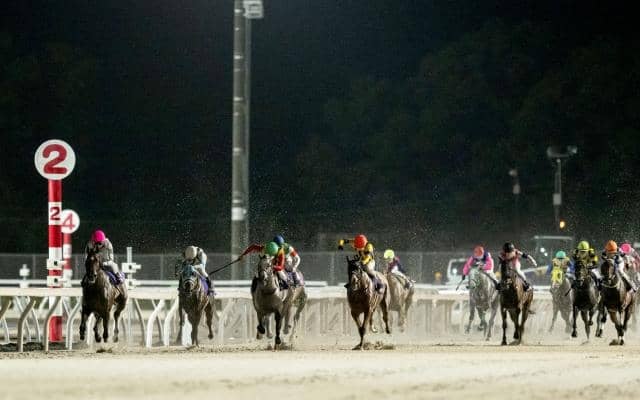 【門別・旭岳賞結果】単勝1.0倍のベルピットが大差勝ち 重賞13勝目を挙げる