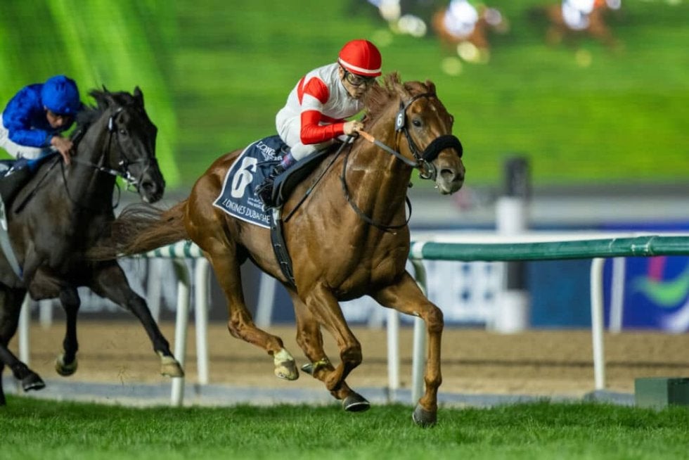 ①◆　競馬　JRA　◆　ダノンデサイル　◆　日本ダービー　◆　２種類セット　◆ Yahoo!オークション - ダノンデサイル QUOカード 競馬 JRA 日本