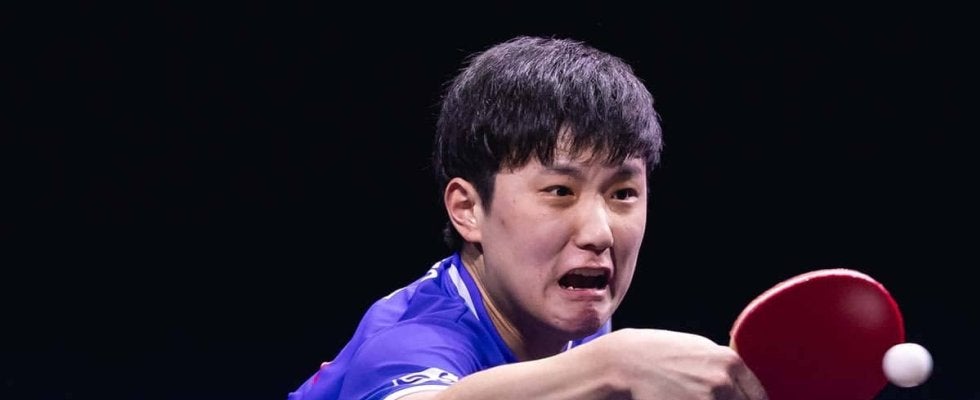 張本智和、因縁の相手への快勝劇に「3－0は予想していない」　自国開催のプレッシャー吐露も上位進出へ意欲【WTTチャンピオンズ横浜】