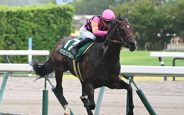 【JRA・WIN5】本日のWIN5は的中285票、配当162万9640円