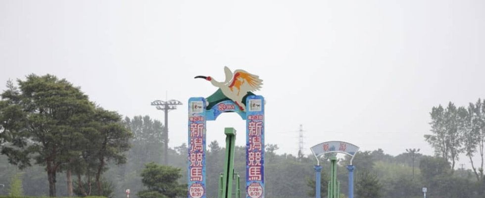 【レパードS】ドンインザムードが重賞初制覇