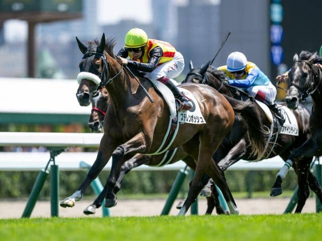 札幌記念想定騎手】ホウオウビスケッツは岩田康誠騎手、ステレン