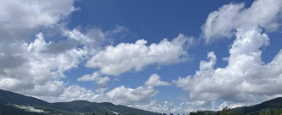 関東・関西の大学ラグビー強豪校が菅平に集結。夏合宿練習試合のみどころ