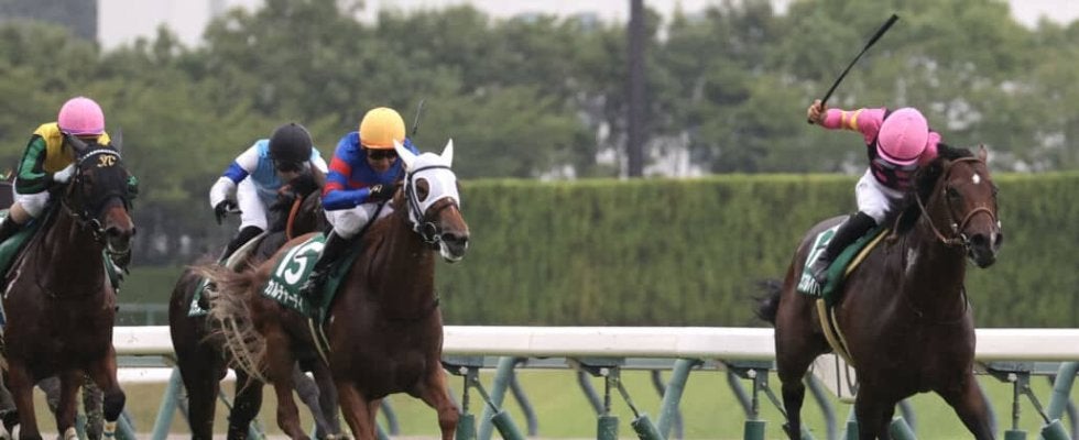 【CBC賞】インビンシブルパパが逃げ切る…佐々木大輔連日の重賞V