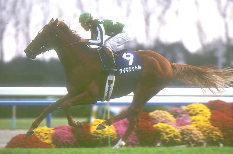 タイキシャトル1998年ジャックルマロワレープロ&引退レース現地購入馬券 極稀少 タイキシャトル1998年ジャックルマロワレープロ&引退レース現地