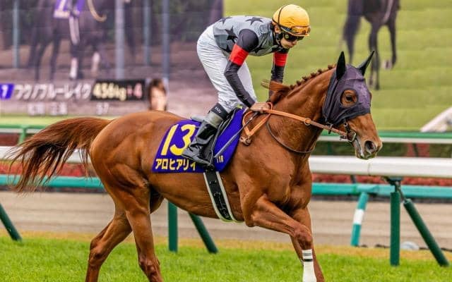 アロヒアリイが「伝統のG2」ギヨームドルナノ賞に参戦 23年覇者のエースインパクトが凱旋門賞V