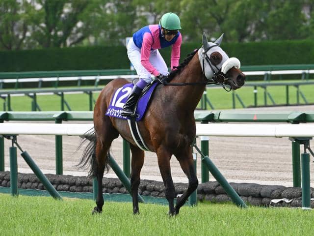 競馬　アイドルホース　まとめ アイドルホース (Idol Horse) | 競走馬データ - netkeiba