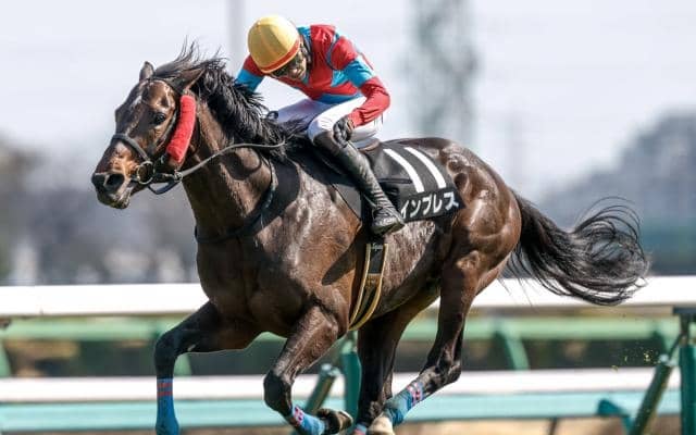 【新潟JS予想】スピード問われる夏の障害重賞を制すのは