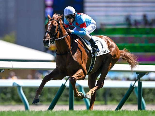 札幌5R新馬戦結果】ミスティックレナンが逃げ切り勝ち クラックスマン