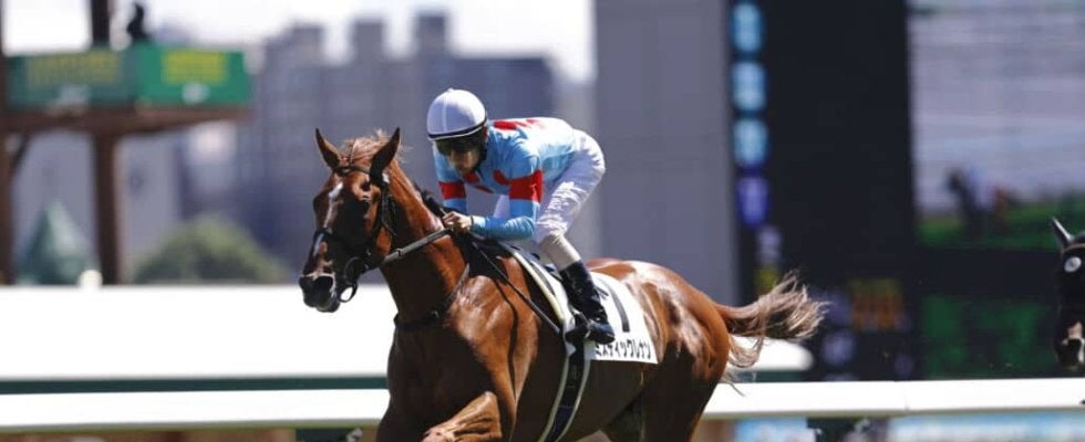 【新馬/札幌5R】外国産ミスティックレナンがデビューV