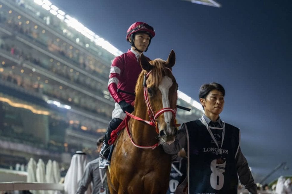馬券　シンエンペラー　11種 シンエンペラー (Shin Emperor) | 競走馬データ - netkeiba