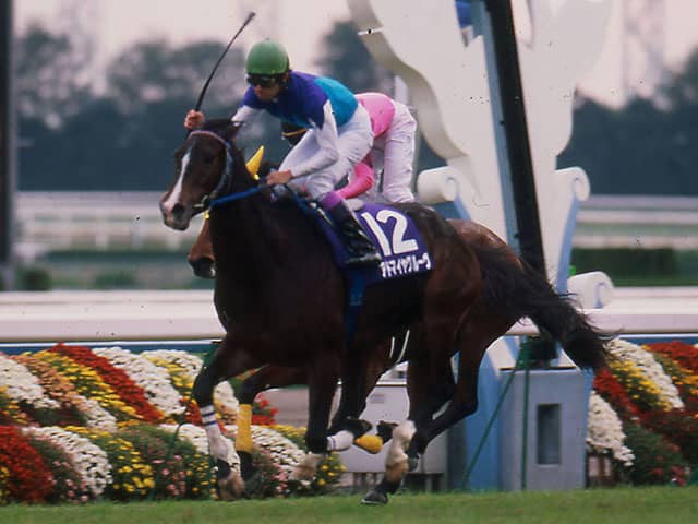 期待の良血馬が初タイトル アドマイヤグルーヴが制した03年ローズS