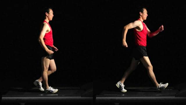 世界陸上、日本勢メダル期待の競歩　勝負分ける二つのルールを解説