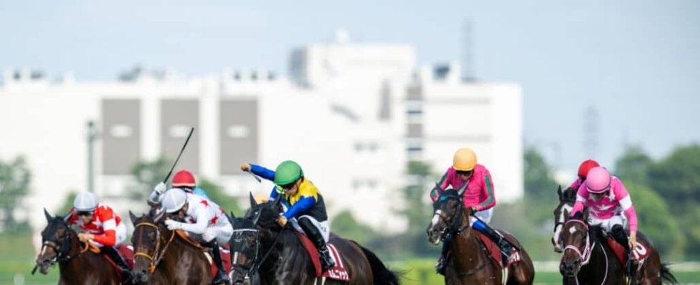 【ローズS】オークス馬の貫禄！カムニャックが秋初戦を快勝