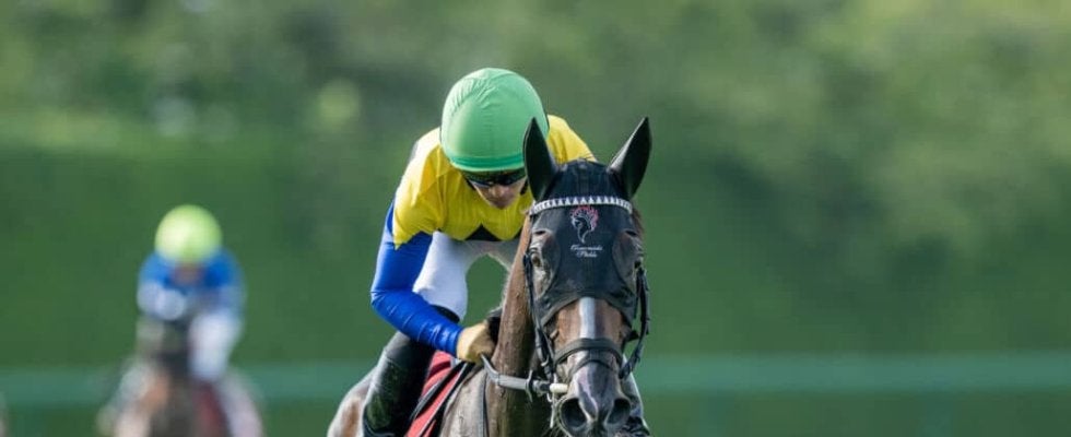 【ローズS】川田「馬の能力だけで勝ち切ってくれました」オークス馬・カムニャックが貫禄の勝利