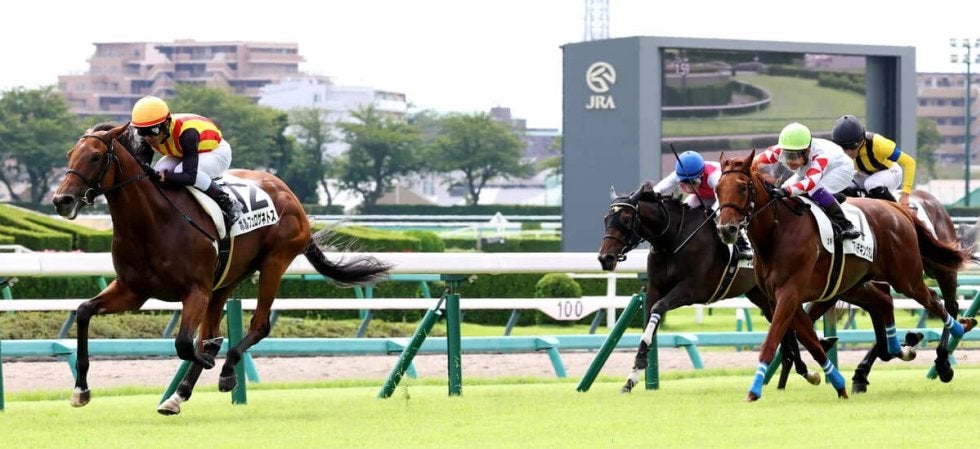 中山2R・2歳未勝利】ポルフュロゲネトスが先行V 戸崎圭太