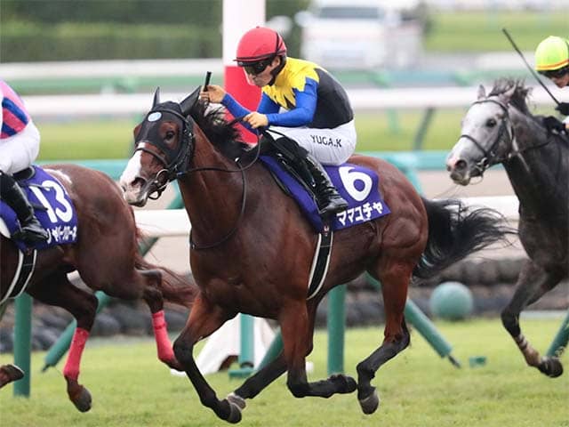 スプリンターズS】JRA現役に残り3頭のクロフネ産駒 ママコチャが史上初