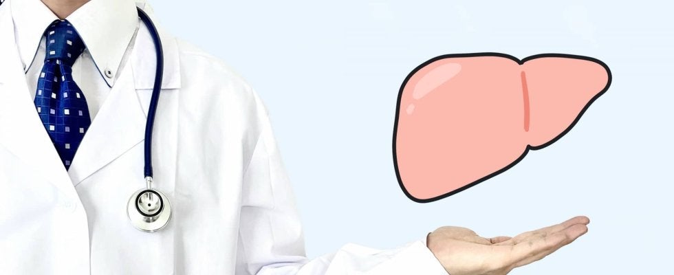 脂肪肝が進行しやすい季節は「秋」。その理由と対策を医師が解説