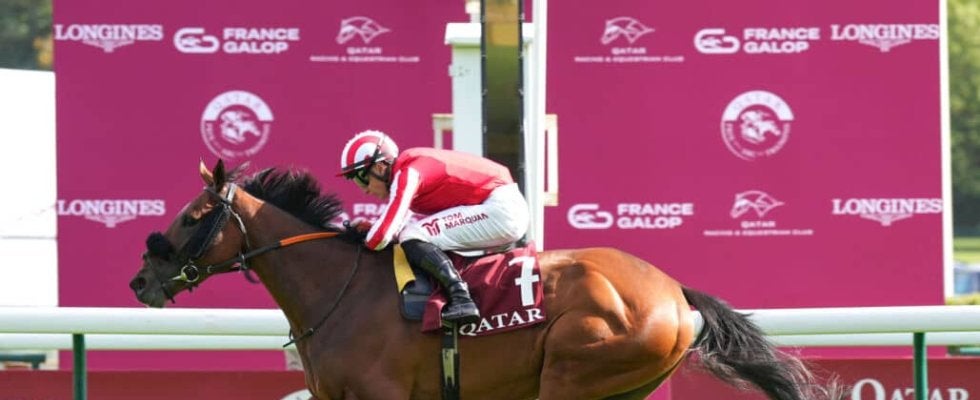 【仏カドラン賞】英カバーヨデマール、伝統のマラソンレースを制する…スコット調教師はG1初勝利