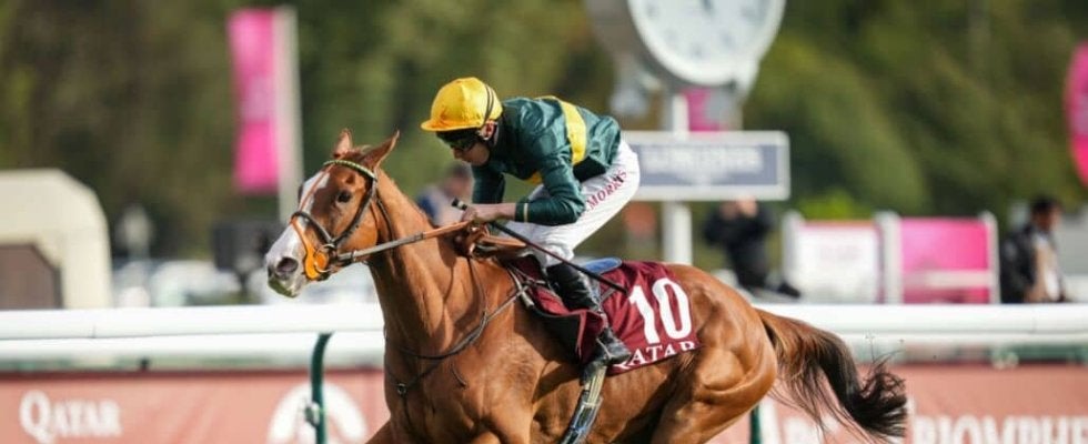 【仏ロワイヤリュー賞】英コンセントが圧勝！…牝馬の凱旋門賞と呼ばれる一戦
