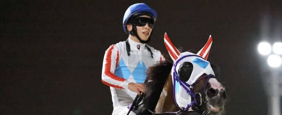 【JDC】三冠がかかるナチュラルライズは8枠15番へ