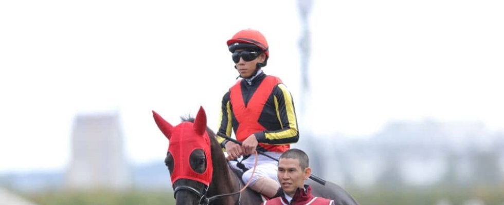 【凱旋門賞】北村友「申し訳なく思います」ダービー馬・クロワデュノールは14着大敗