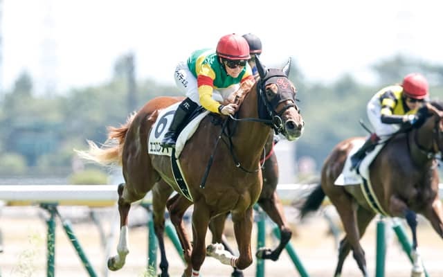 【サウジアラビアRC展望】レース間隔と前走内容を重視、エコロアルバが重賞初制覇へ