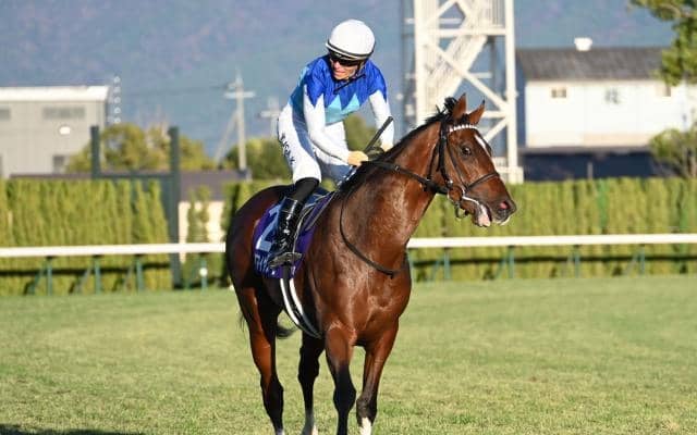 【スワンS予想オッズ】アドマイヤズームが予想1番人気