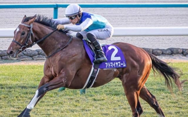【スワンS】2歳GI勝ち馬の戴冠なら4年ぶり4頭目 アドマイヤズームが始動戦だ