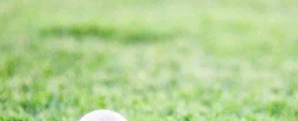 昨秋愛知4強・名城大付の外野手が志望届提出！仙台育英との招待試合では三塁打を放つ【25年・高校生プロ志望届提出者リスト】