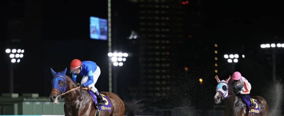 【ジャパンダートクラシック】ナルカミが逃げ切る…ナチュラルライズ三冠ならず