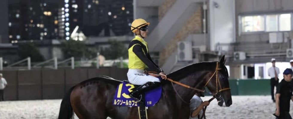 【ジャパンダートクラシック】佐々木大「右から左へ手前を替えるのが得意ではないです」帰国初戦のルクソールカフェは3着まで