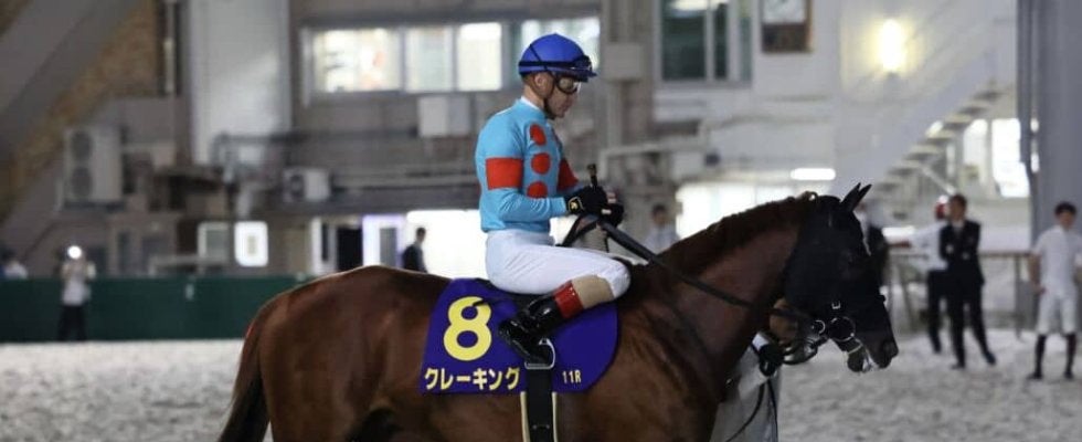【ジャパンダートクラシック】ルメール「加速出来なかった」クレーキング