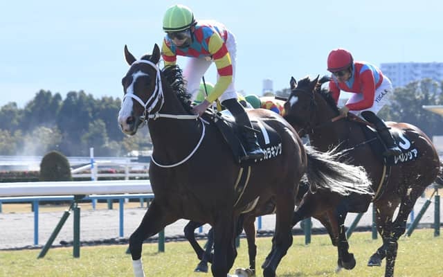 【スワンS展望】データから妙味十分のアサカラキングが狙い目