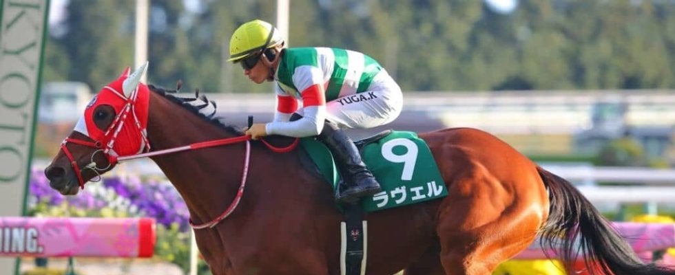 ラヴェルが引退、繁殖入り