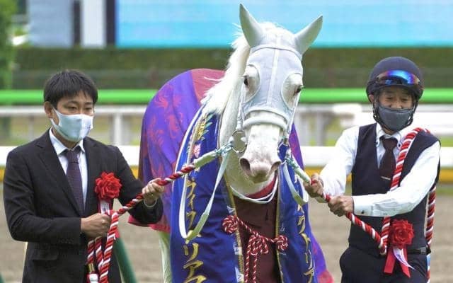 「ウマ娘」藤田晋オーナーの白毛馬 セレクト1.9億円のスーホが初陣だ