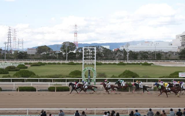 【園田・園田オータムT結果】オケマルが8戦無敗で兵庫3歳三冠制覇