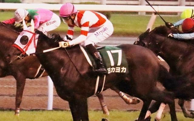 熊本産初のJRA重賞勝ち馬ヨカヨカの初仔 ヨカオウが待望のデビュー戦だ