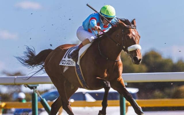 母は名牝アーモンドアイ アロンズロッドが8カ月ぶりの復帰戦だ