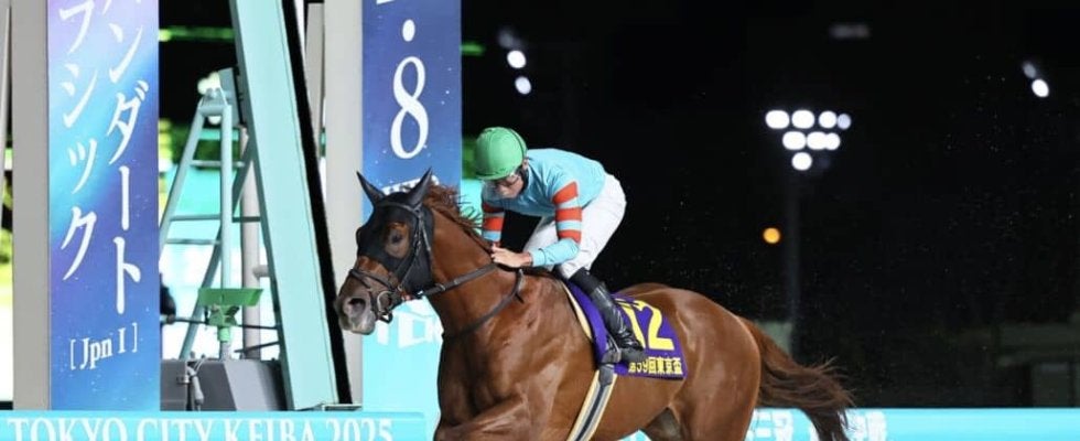 【東京盃】ヤマニンチェルキが交流重賞3連勝…トーセンサンダーはスタートで落馬